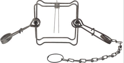 Duke Traps #160 Body Trap Case OF 12