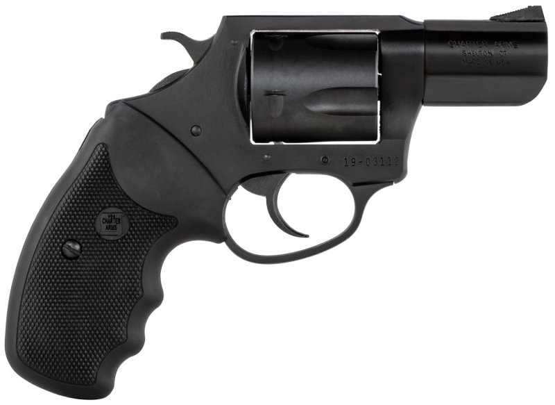 Charter Arms 63520 357 Magnum/38 Special