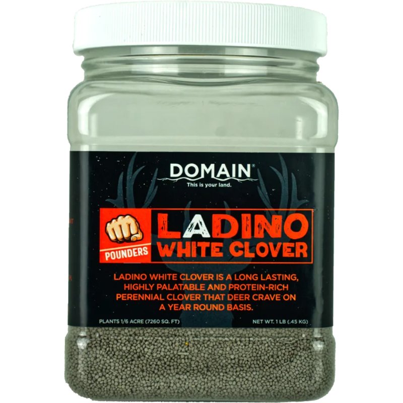 Domain DLWCS1LB Ladino White Clover Seed 1 lb, Perennial, Drought-Resistant