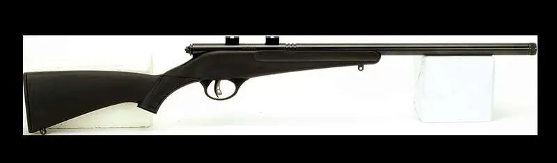Savage Arms Rascal FLV-SR 22 LR 13841