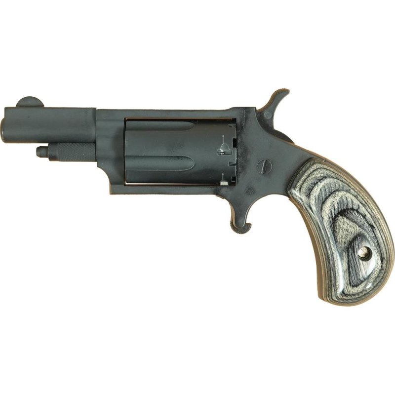 NAA NAA-22M-SG-SBG .22 Magnum Mini-Revolver 1.63 In 5-Rounds Stealth Grey
