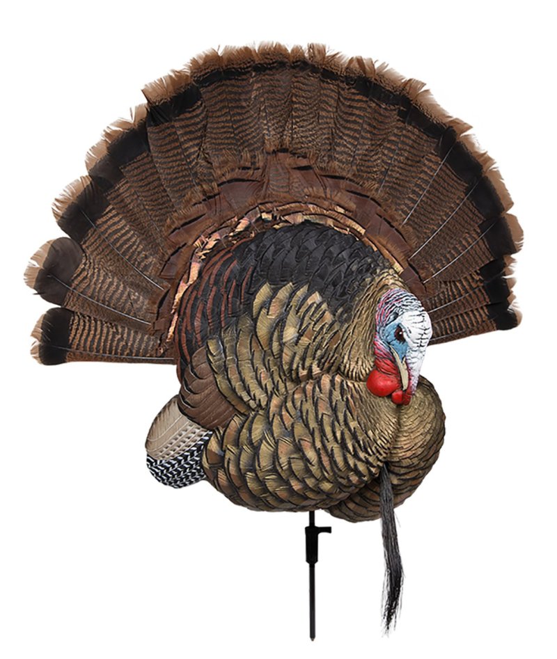 Avian-X Trophy Tom Display Mount Decoy Black Finish Feathered
