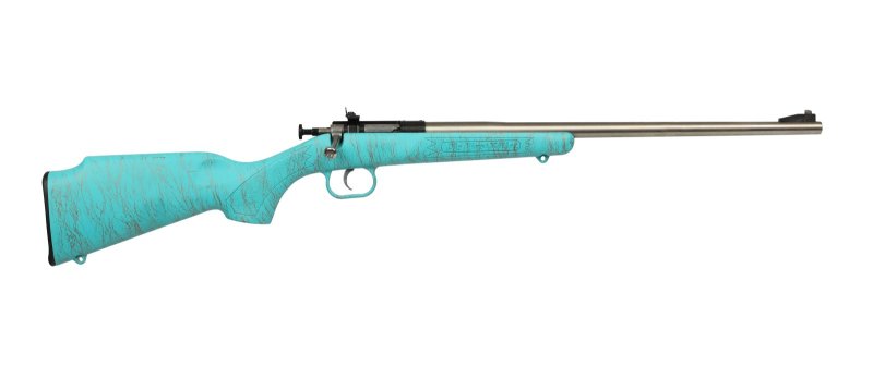 Keystone Sporting Arms Crickett 22 LR KSA2446