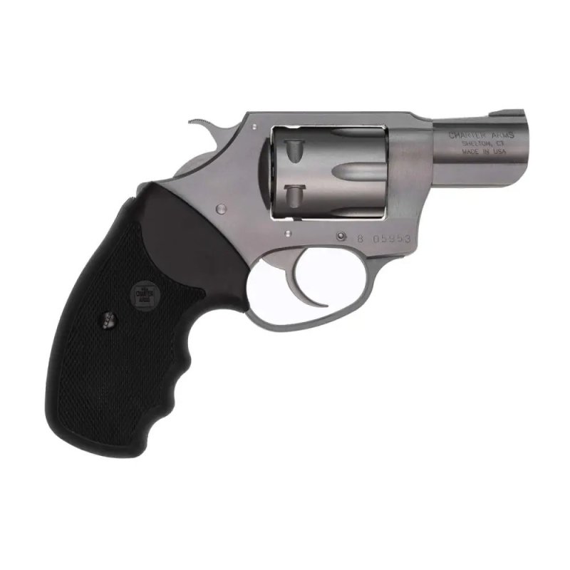 Charter Arms Pathfinder 22 Long Rifle