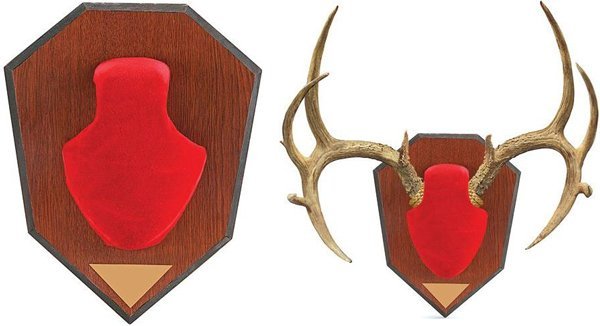 561 Allen Antler Mounting Kit: Red Skull Cap, Wood Grain Laminated Plaque, Engravable Plate, Adjustable Horn Configuration