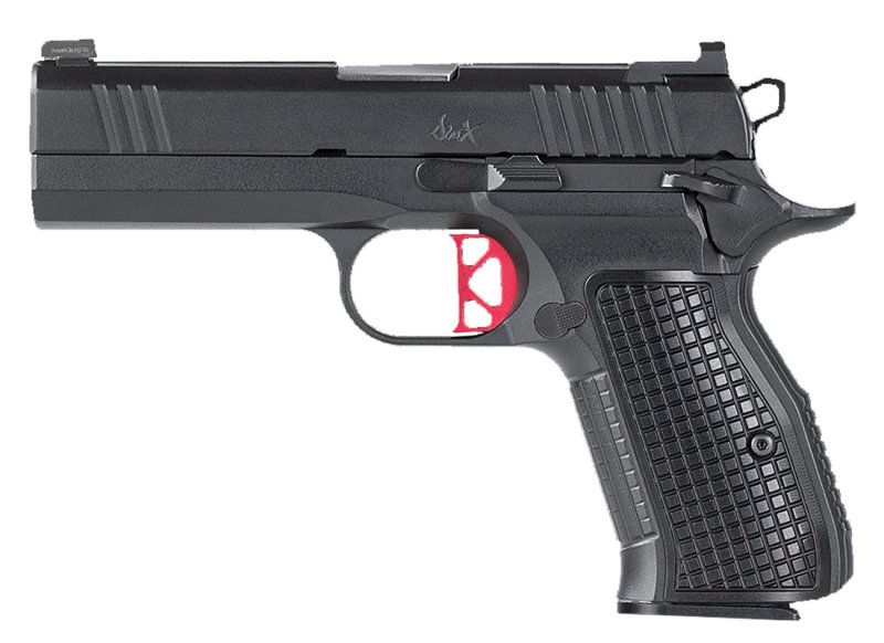 Dan Wesson DWX 9 mm Luger