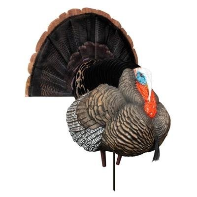 Higdon Outdoors Hard Body Apex Strutter Turkey Decoy XHD Feathering