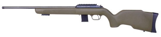 Diana R-22 Classic .22LR 4030017 .22lr .22WMR