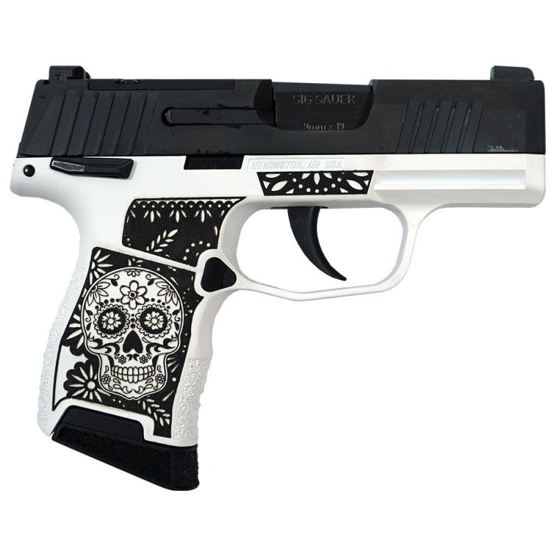 Sig Sauer P365 9mm Luger 365-9-BXR3P-MS MODSSWB