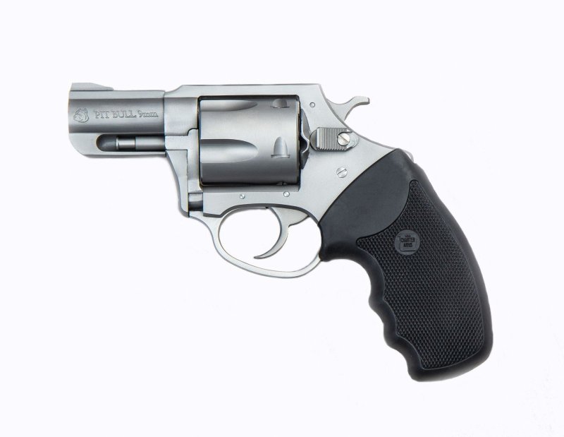 Charter Arms Pitbull 9mm (Stainless Steel)