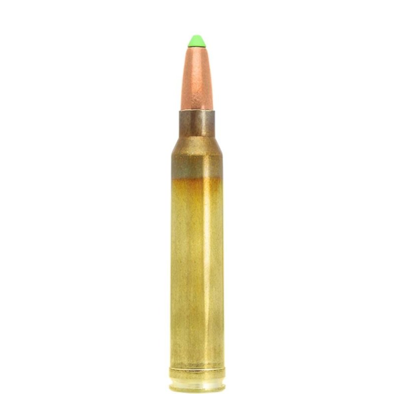 Lapua N317204 .300 Win Mag 170gr Naturalis Solid Rifle Ammo 10ct