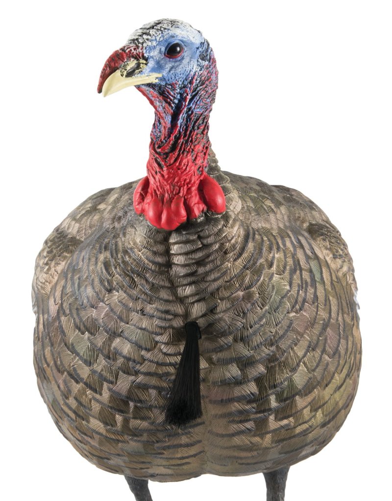 GSM Outdoors Avian X LCD Quarter-Strut Jake Decoy Lifelike