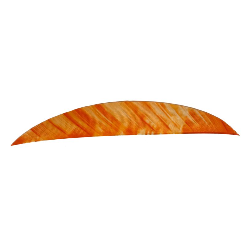 Gateway 512RMTWO-50 Magnum Feathers 5.5" White/Orange 50 Pack