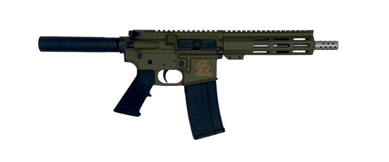 Great Lakes Firearms AR15 223 Wylde GL15223SSP ODG