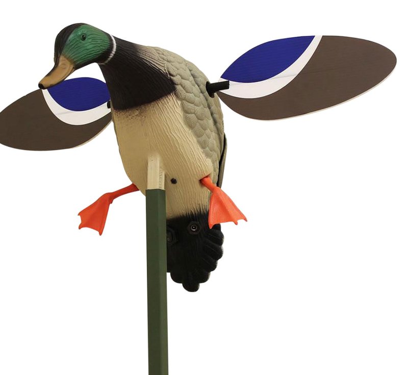 Mojo Outdoors Baby Mojo Drake Mallard Decoy 6V Rechargeable
