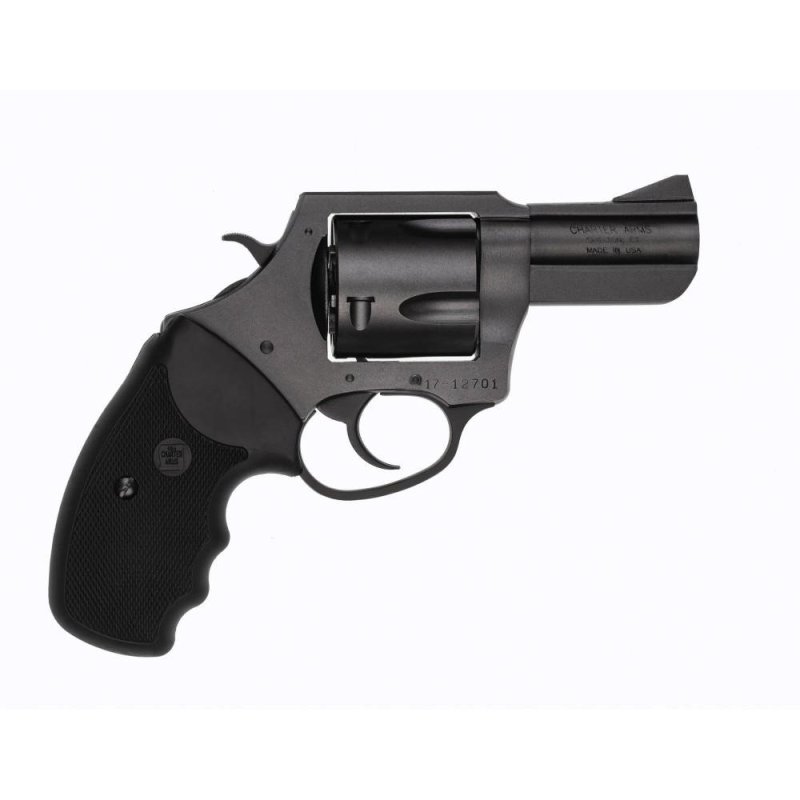 Charter Arms Pitbull 45 ACP