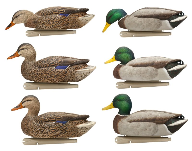 Avian X AVXAVX8076 Topflight Fusion Mallards Multi-Color 6-Pack Decoys